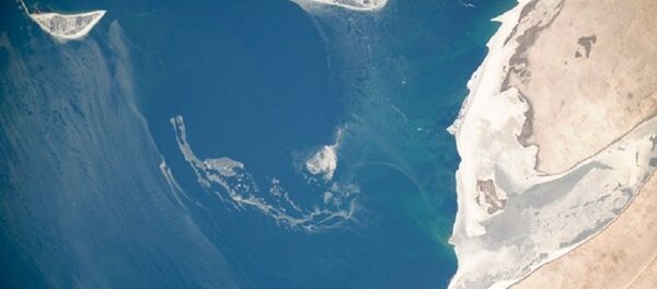 俄罗斯宇航员展示了“灾难性干涸”水域的照片 - 俄罗斯卫星通讯社