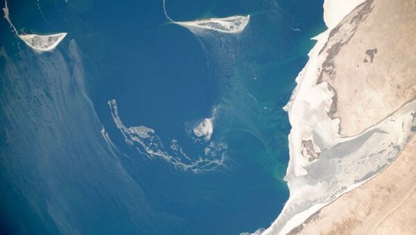 俄罗斯宇航员展示了“灾难性干涸”水域的照片 - 俄罗斯卫星通讯社