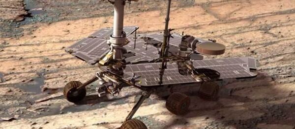 俄羅斯將向火星探測項目“火星太空生物”投入1.1億美元 俄羅斯將向火星探測項目“火星太空生物”投入1.1億美元 - 俄羅斯衛星通訊社