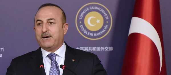 土耳其外長：不認為敘利亞軍進入阿夫林有任何問題 - 俄羅斯衛星通訊社