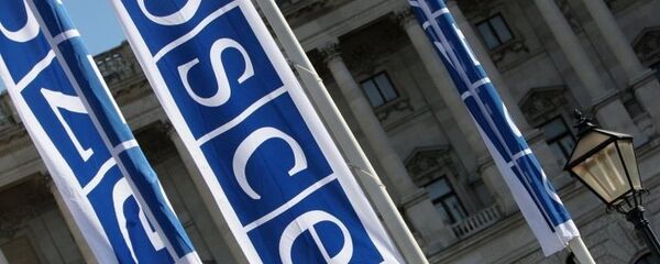 欧安组织 - 俄罗斯卫星通讯社