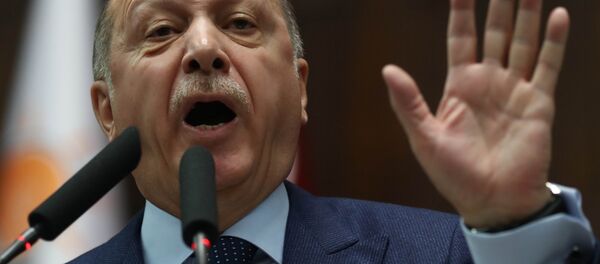 埃尔多安 - 俄罗斯卫星通讯社