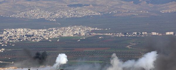 叙阿夫林(图片资料) 叙阿夫林(图片资料) - 俄罗斯卫星通讯社