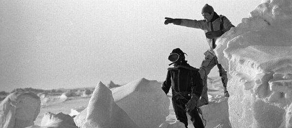 北极漂流站的前身后事 - 俄罗斯卫星通讯社