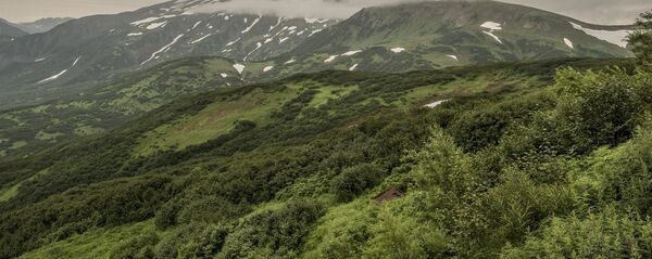 堪察加半岛 - 俄罗斯卫星通讯社