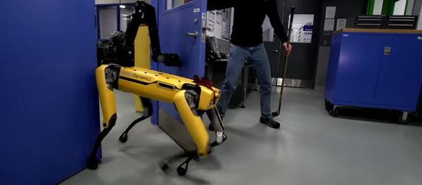 视频抓拍机器人狗和人较劲 - 俄罗斯卫星通讯社