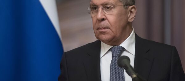 俄外长：俄方支持金砖国家与非洲国家对话深化 - 俄罗斯卫星通讯社