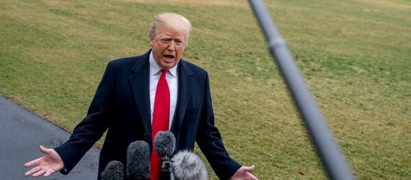 美国总统特朗普 - 俄罗斯卫星通讯社