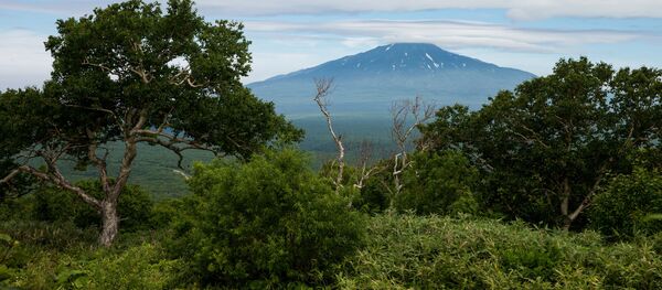 媒體:日本對俄羅斯在伊圖魯普島舉行導彈演習的計劃表示遺憾 媒體:日本對俄羅斯在伊圖魯普島舉行導彈演習的計劃表示遺憾 - 俄羅斯衛星通訊社