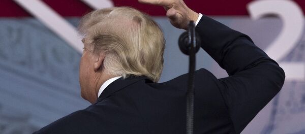 特朗普再次夸奖自己的发型 - 俄罗斯卫星通讯社