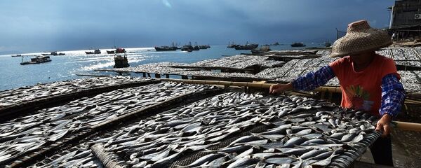 中国将在海南建设首个深远海“智能渔场” 中国将在海南建设首个深远海“智能渔场” - 俄罗斯卫星通讯社