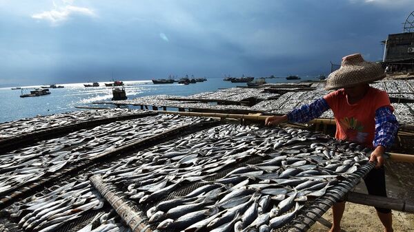 中國漁民撈獲多個境外水下竊密裝置 - 俄羅斯衛星通訊社