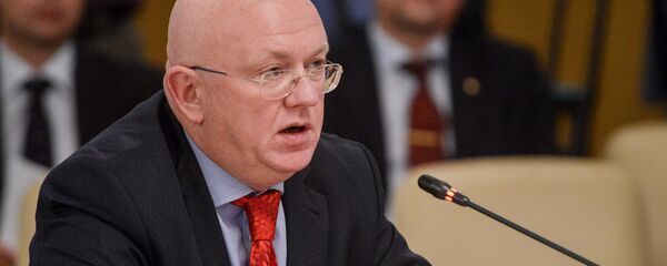 俄罗斯常驻联合国代表涅边贾 俄罗斯常驻联合国代表涅边贾 - 俄罗斯卫星通讯社