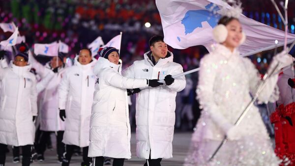 朝韓運動員將不一起參加2018年殘奧會開幕式 - 俄羅斯衛星通訊社