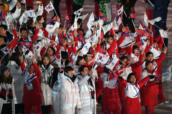 朝韩两国代表团联合入场 - 俄罗斯卫星通讯社