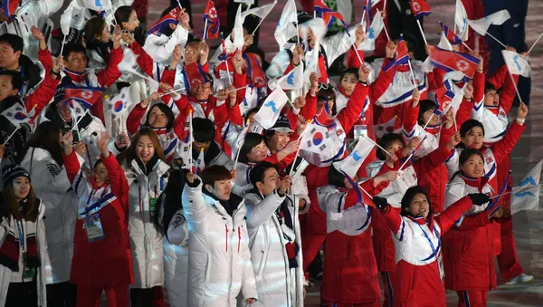 朝鲜运动员抵达韩国 将组建南北联合代表队参加亚运会 - 俄罗斯卫星通讯社