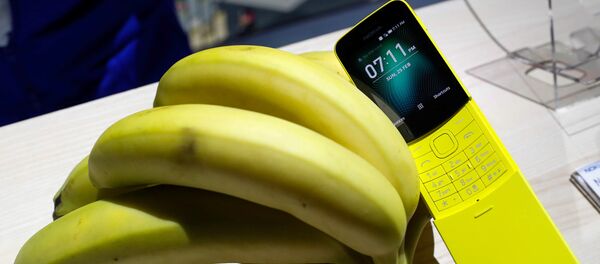 諾基亞發佈復刻版8110 香蕉手機重生 - 俄羅斯衛星通訊社