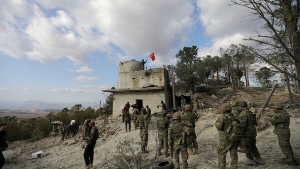 Turkish forces wave a flag on Mount Barsaya, northeast of Afrin, Syria - 俄罗斯卫星通讯社