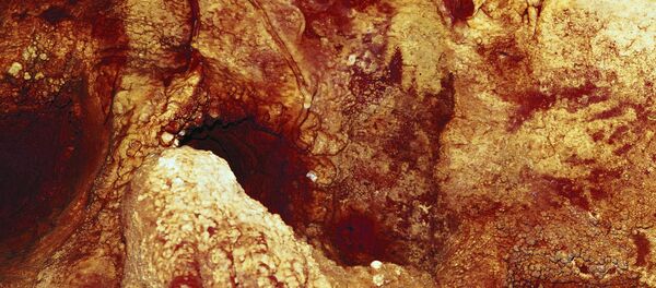 媒体：科学家在西班牙发现人类最古老绘画 - 俄罗斯卫星通讯社