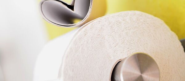Рулон туалетной бумаги - 俄罗斯卫星通讯社