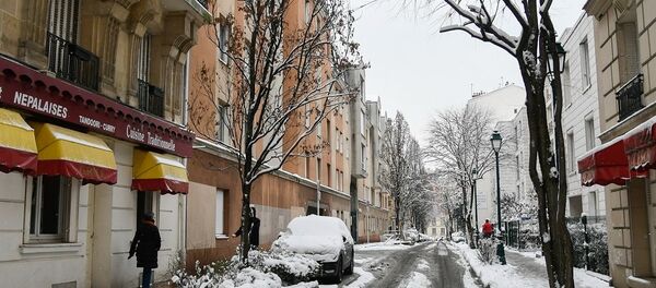 法國擬通過反假新聞法 - 俄羅斯衛星通訊社