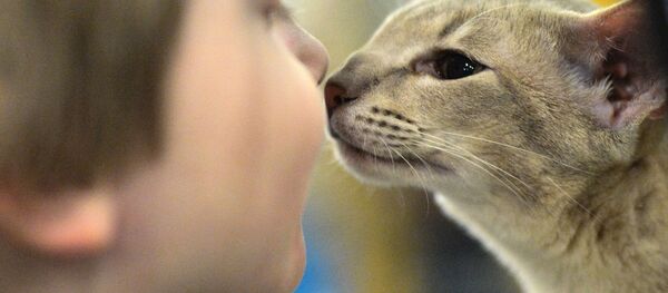 养宠物带来的意想不到的好处 - 俄罗斯卫星通讯社