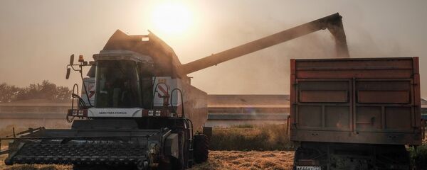 中俄糧食走廊項目落戶營口 期待更多俄羅斯企業入駐 - 俄羅斯衛星通訊社