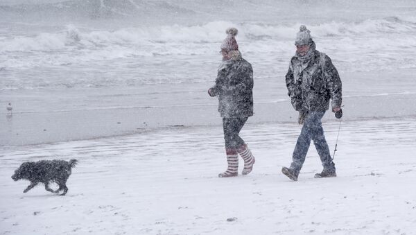英国海岸因温度降至零下而被冰覆盖 - 俄罗斯卫星通讯社