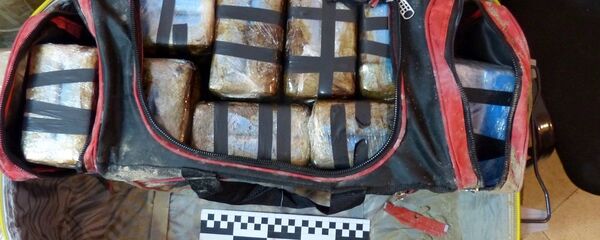 阿根廷执法机关称与俄罗斯在可卡因案上的合作取得成功 - 俄罗斯卫星通讯社