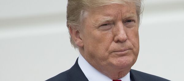 美国总统特朗普 - 俄罗斯卫星通讯社