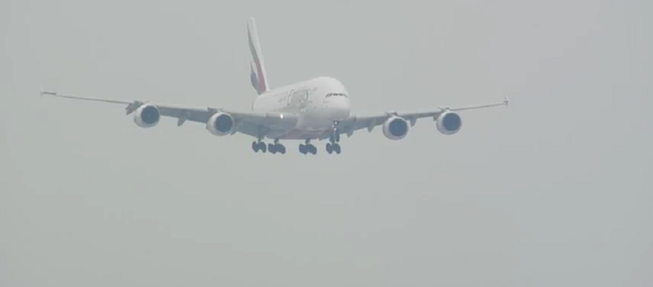 最大客机空客A380在飓风中降落的视频被拍下 最大客机空客A380在飓风中降落的视频被拍下 - 俄罗斯卫星通讯社