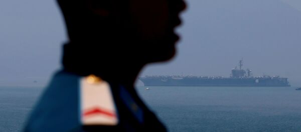 美国航母40年来首次抵达越南 - 俄罗斯卫星通讯社