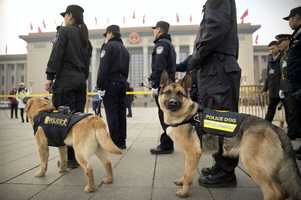 天安門廣場上的警犬 - 俄羅斯衛星通訊社