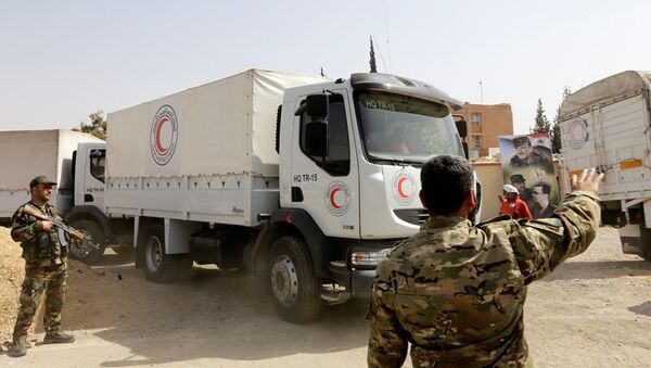 红新月会人道主义物资运输队已抵达叙东古塔地区 - 俄罗斯卫星通讯社