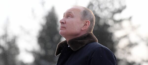 Президент РФ Владимир Путин Президент РФ Владимир Путин - 俄罗斯卫星通讯社