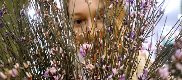 莫斯科市长：“三八”节前莫斯科运入5000万朵鲜花用于销售 - 俄罗斯卫星通讯社