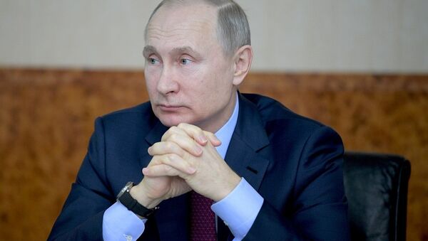 普京认为俄罗斯进口替代只是暂时现象 - 俄罗斯卫星通讯社