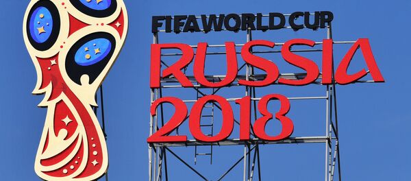 国际足联：2017年9月起已经出售近170万张俄罗斯世界杯的球票 - 俄罗斯卫星通讯社