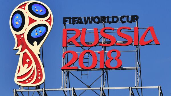 俄微型彩画画家在米粒上绘制世界杯标志 - 俄罗斯卫星通讯社