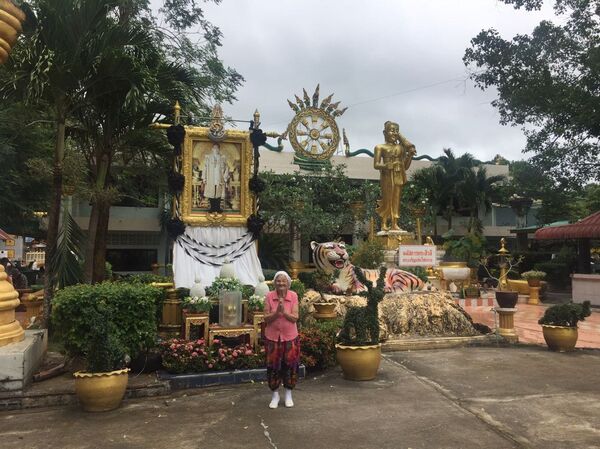 在泰国 - 俄罗斯卫星通讯社