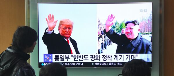 专家：朝美领导人会晤本身是突破 但解决半岛问题路还很长 - 俄罗斯卫星通讯社