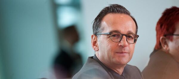 海科·马斯 - 俄罗斯卫星通讯社