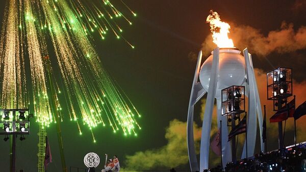 在平昌殘奧會開幕式上，在奧林匹克體育場上空燃放了煙花 - 俄羅斯衛星通訊社