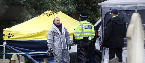 英国 - 俄罗斯卫星通讯社