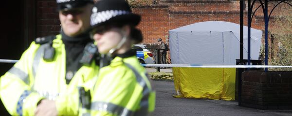 英国警方 - 俄罗斯卫星通讯社