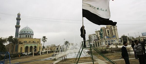 俄总统军事技术合作问题助理：俄向伊拉克提供装备整个装甲旅的军械 - 俄罗斯卫星通讯社