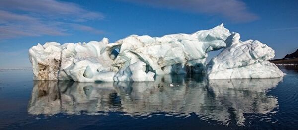 炭疽致死动物埋尸场融化会带来巨大风险 - 俄罗斯卫星通讯社