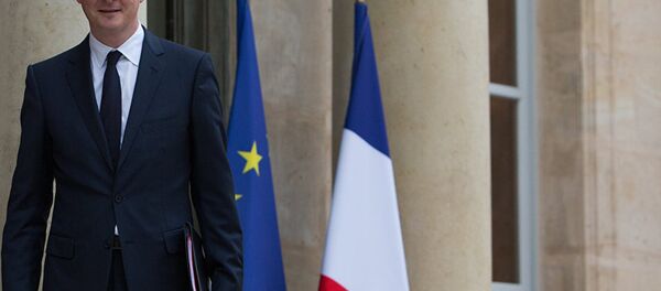 布鲁诺·勒梅尔 - 俄罗斯卫星通讯社