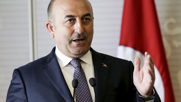 土耳其外长：土俄应加强合作防止“伊斯兰国”蔓延 - 俄罗斯卫星通讯社