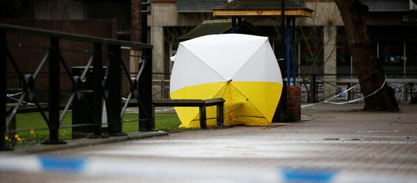 斯克里帕利 - 俄罗斯卫星通讯社